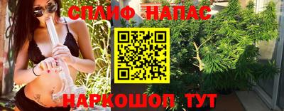 стаф Сланцы