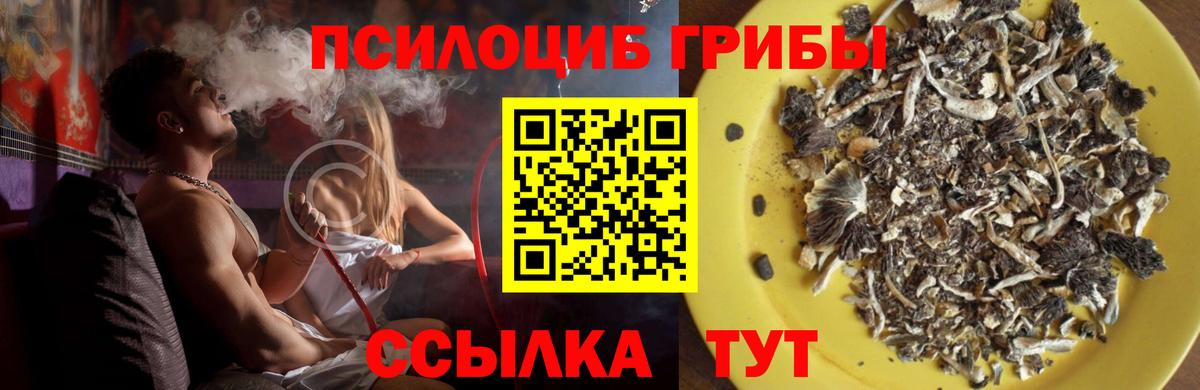 Армавир  Галлюциногенные грибы Magic Shrooms  Вход с VPN 